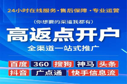 行业领先企业的SEM竞价代运营案例解析